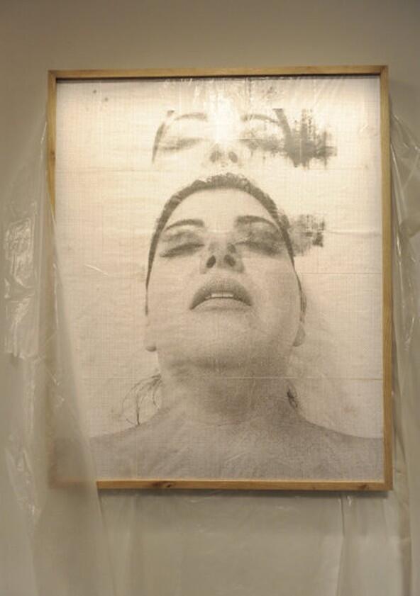 Work of Art: The Next Great Artist - Season 1 Work of Art: The Next Great Artist - Season 1