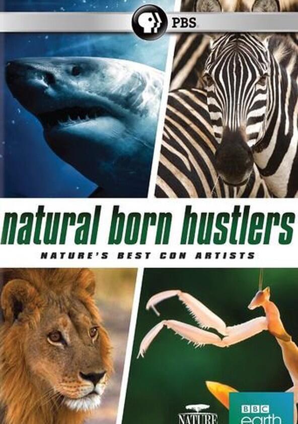Natural Born Hustlers - Season 1 Natural Born Hustlers - Season 1