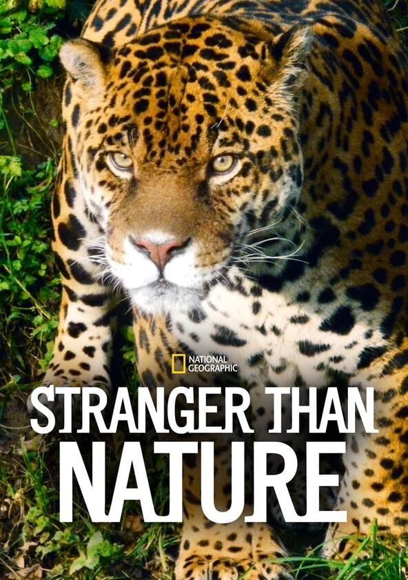 Stranger Than Nature - Season 1 Stranger Than Nature - Season 1