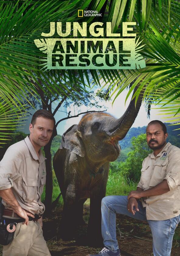 Jungle Animal Rescue - Season 1 Jungle Animal Rescue - Season 1