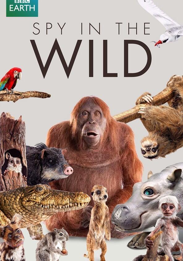 Spy in the Wild - Season 2