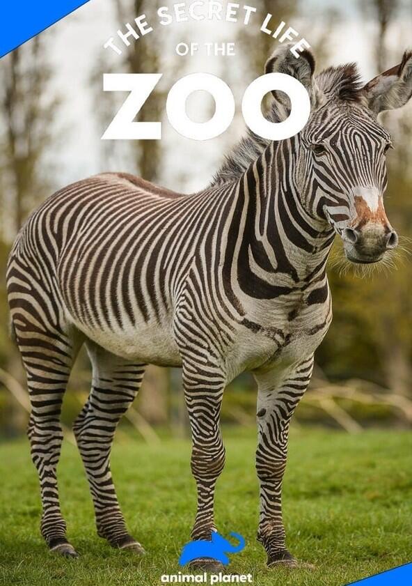The Secret Life of the Zoo - Season 6 The Secret Life of the Zoo - Season 6