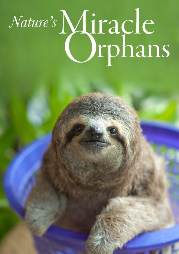 Nature's Miracle Orphans - Season 1 Nature's Miracle Orphans - Season 1