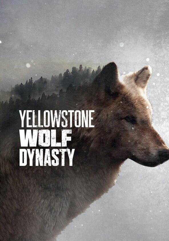 Yellowstone Wolf Dynasty - Season 1 Yellowstone Wolf Dynasty - Season 1