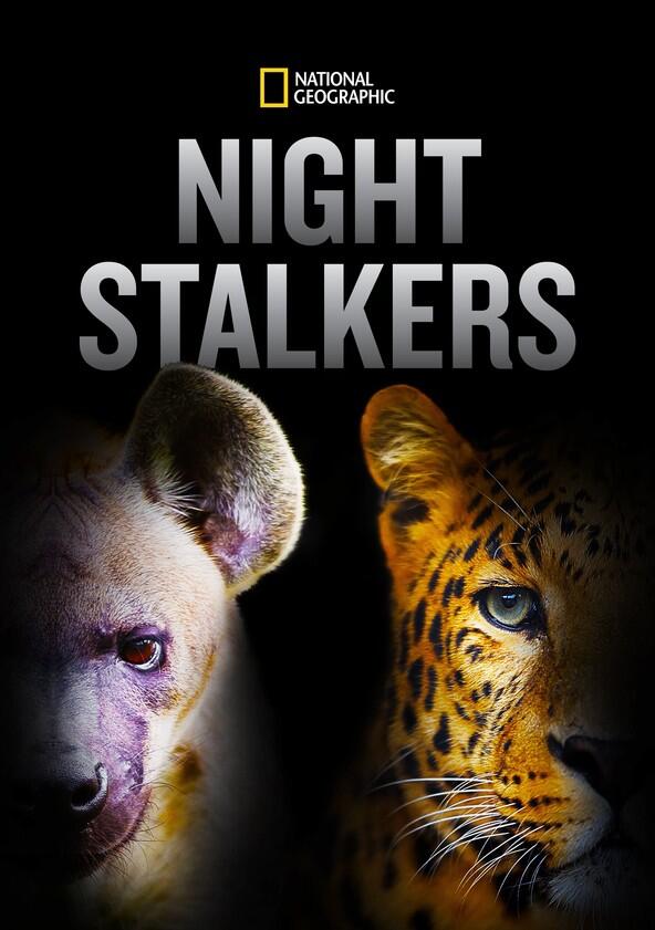 Night Stalkers - Season&nbsp;1