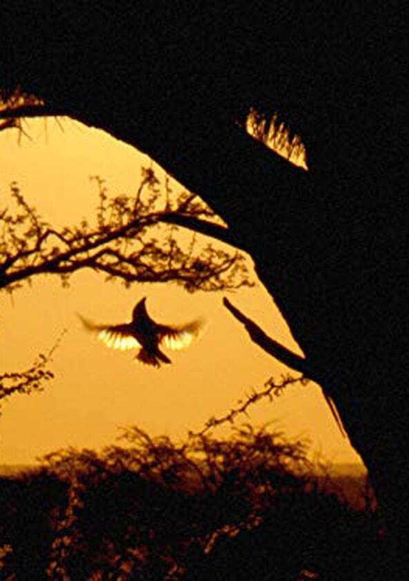 Africa's Wild Havens - Season 1 Africa's Wild Havens - Season 1