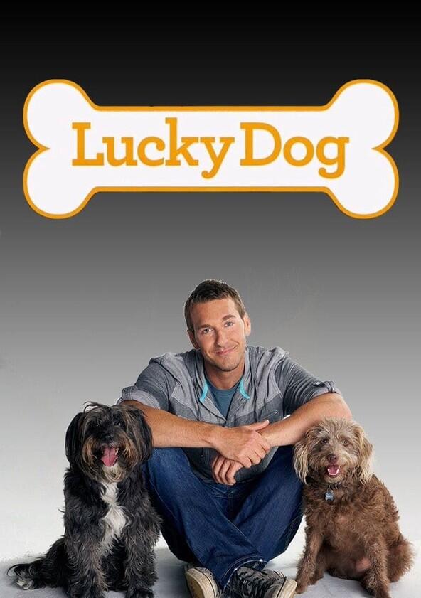 Lucky Dog - Season 2
