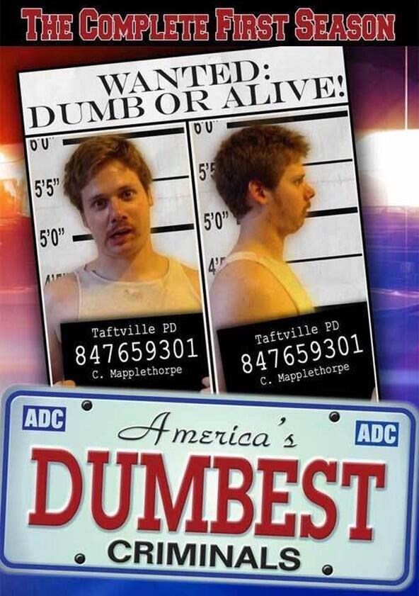 America's Dumbest Criminals - Season 1 America's Dumbest Criminals - Season 1
