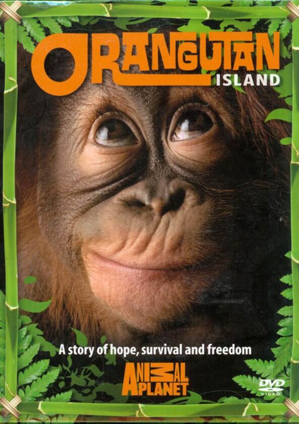 Orangutan Island - Season 1 Orangutan Island - Season 1