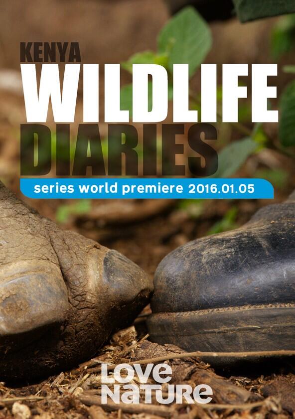 Kenya Wildlife Diaries - Season 1 Kenya Wildlife Diaries - Season 1