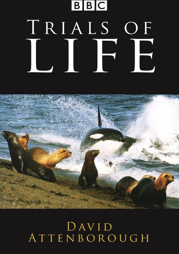 The Trials of Life: A Natural History of Behaviour - Season 1 The Trials of Life: A Natural History of Behaviour - Season 1