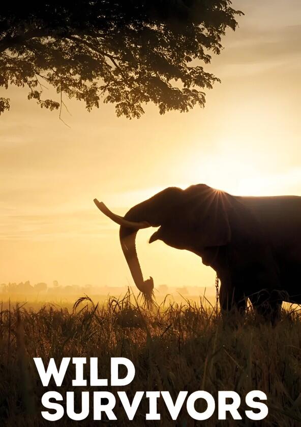 Wild Survivors - Season 1 Wild Survivors - Season 1