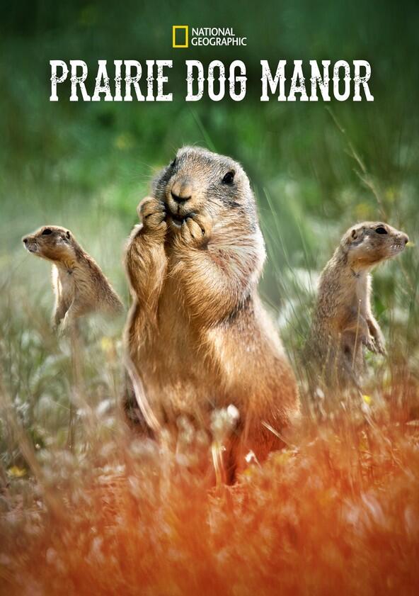 Prairie Dog Manor - Season 1 Prairie Dog Manor - Season 1