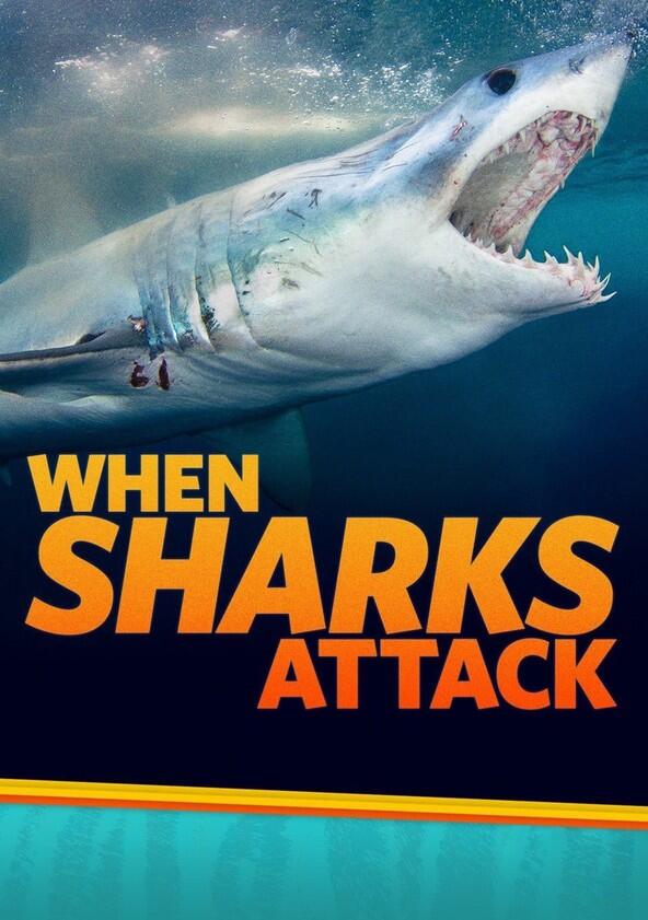 When Sharks Attack - Season 4 When Sharks Attack - Season 4