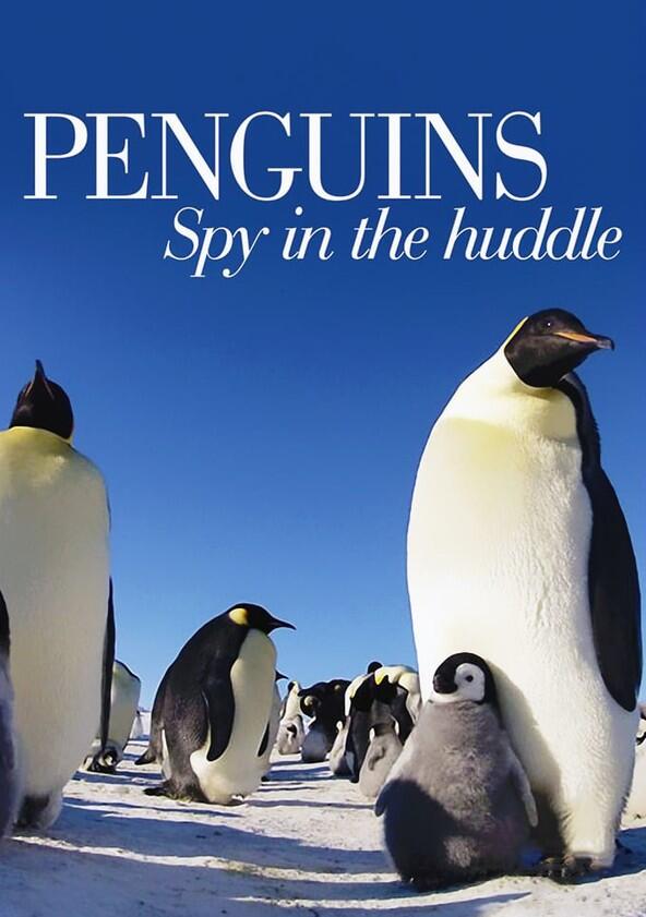 Penguins: Spy in the Huddle - Season 1 Penguins: Spy in the Huddle - Season 1