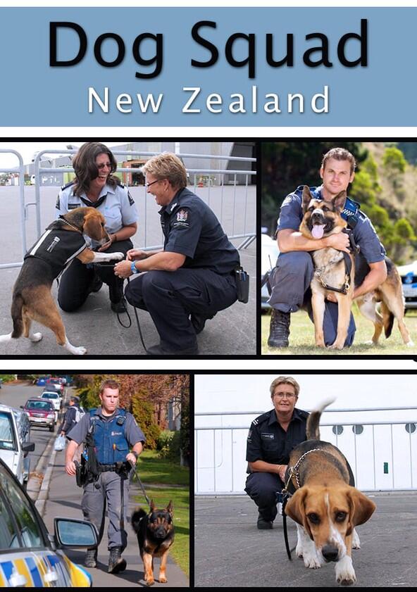 Dog Squad - Season 10