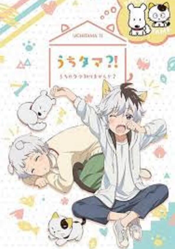 Uchitama?! Have You Seen My Tama? - Season 1 Uchitama?! Have You Seen My Tama? - Season 1