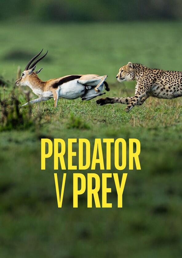 Predator vs Prey - Season 1 Predator vs Prey - Season 1