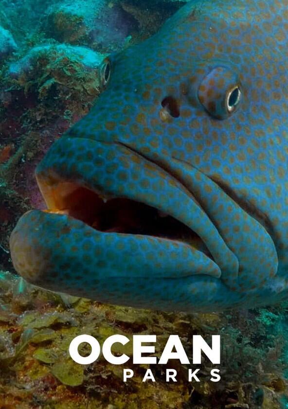 Ocean Parks - Season 1 Ocean Parks - Season 1