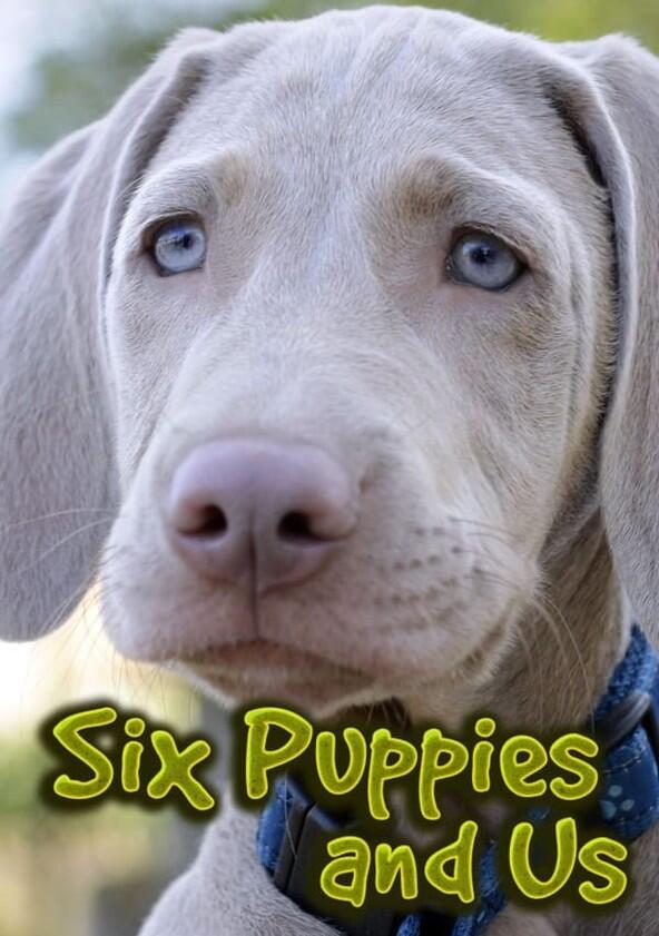 Six Puppies and Us - Season 1 Six Puppies and Us - Season 1