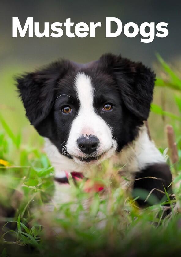 Muster Dogs - Season 2 Muster Dogs - Season 2