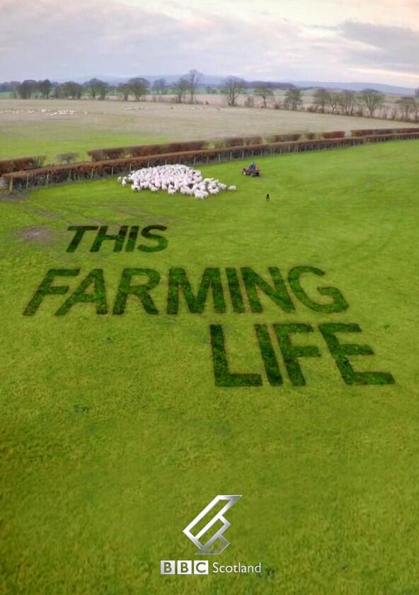 This Farming Life - Season 6