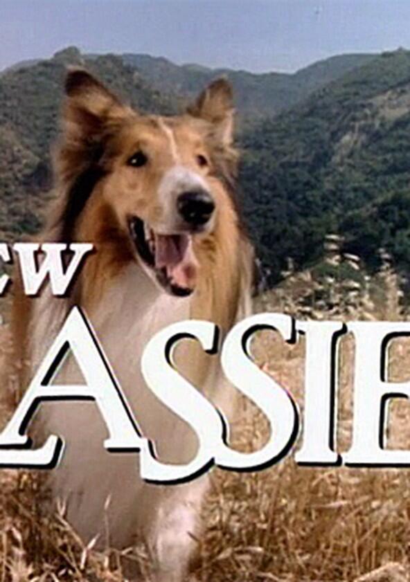 The New Lassie - Season 1 The New Lassie - Season 1