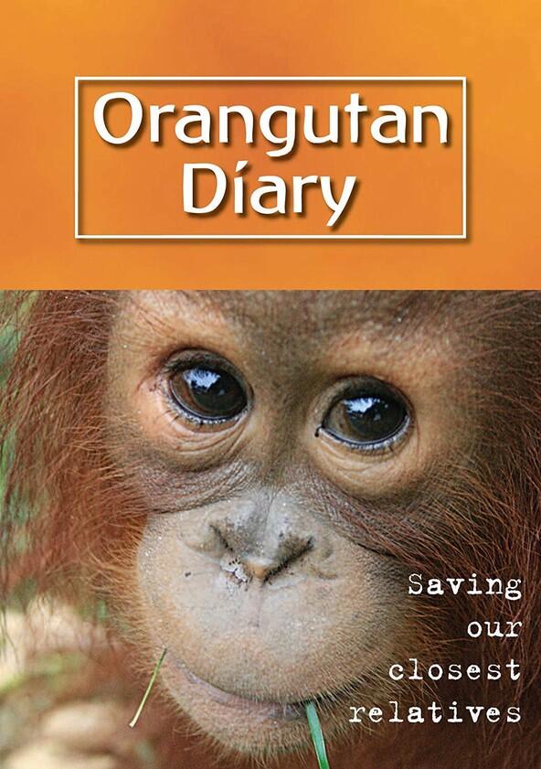 Orangutan Diary - Season 1 Orangutan Diary - Season 1