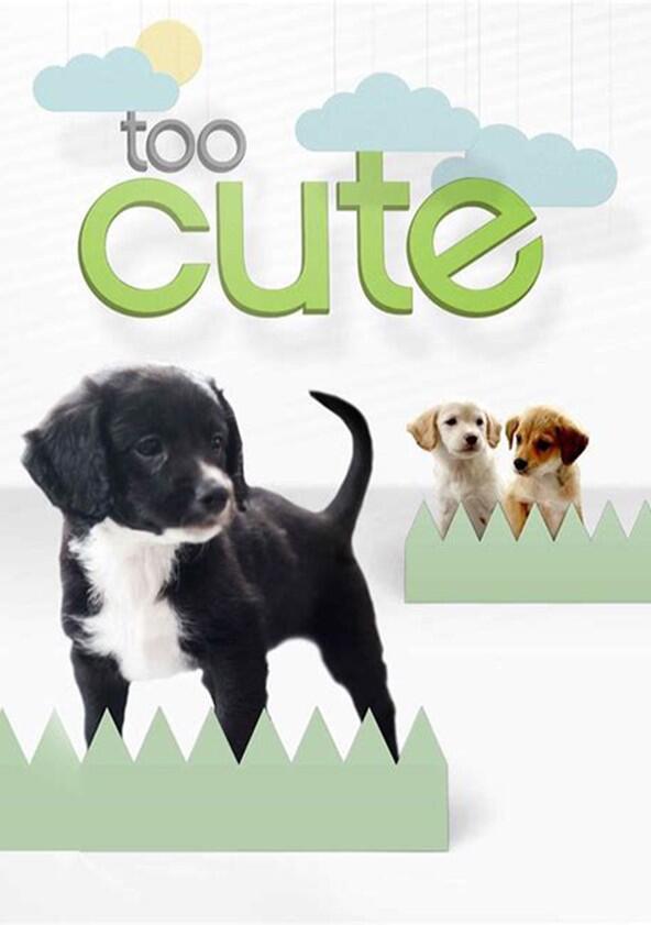 Too Cute! - Season 4 Too Cute! - Season 4