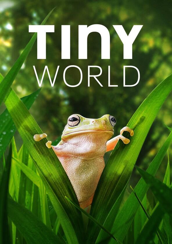 Tiny World - Season 2 Tiny World - Season 2