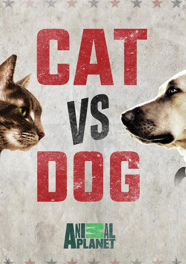 Cat vs. Dog - Season 1 Cat vs. Dog - Season 1