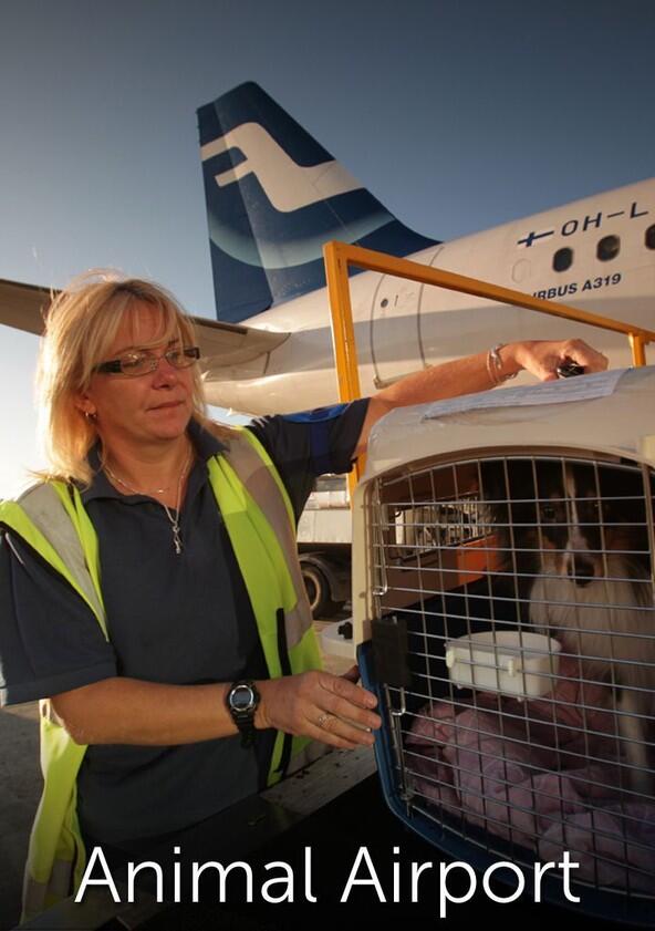 Animal Airport - Season 1 Animal Airport - Season 1