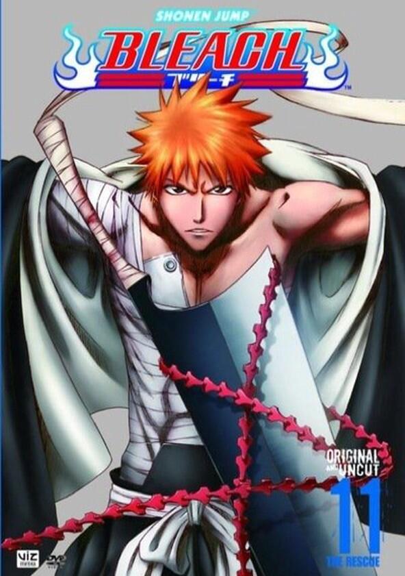 Bleach - Season 11 Bleach - Season 11