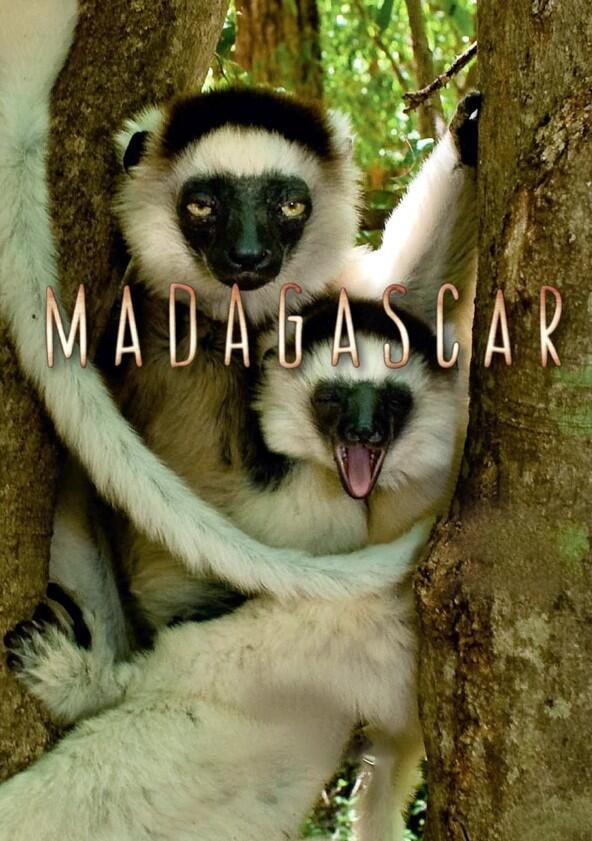Madagascar - Season 1 Madagascar - Season 1
