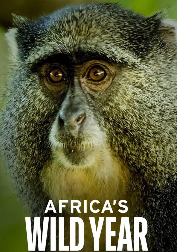 Africa's Wild Year - Season 1 Africa's Wild Year - Season 1
