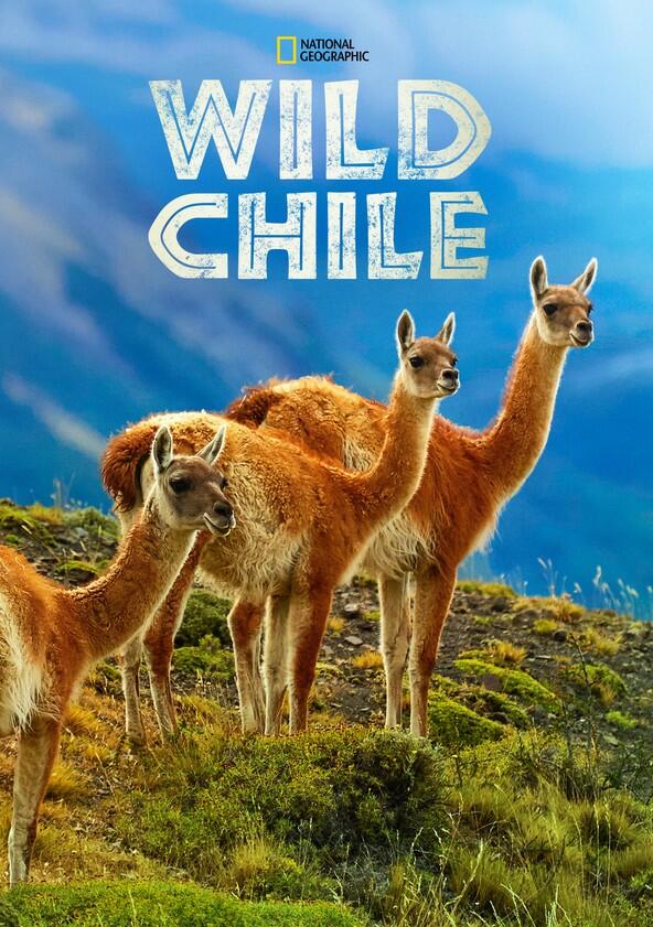 Wild Chile - Season 1 Wild Chile - Season 1