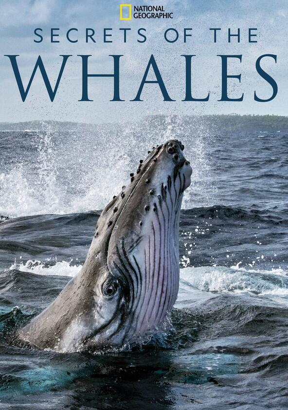 Secrets of the Whales - Season 1 Secrets of the Whales - Season 1