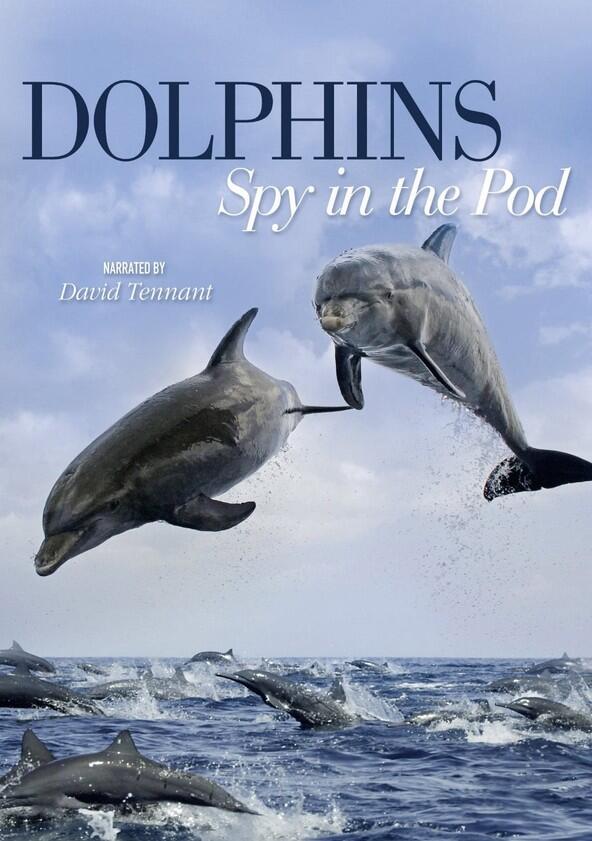 Dolphins: Spy in the Pod - Season 1 Dolphins: Spy in the Pod - Season 1