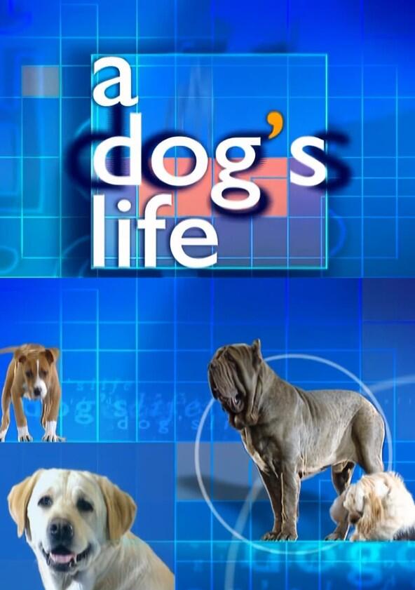 A Dog's Life - Season 1