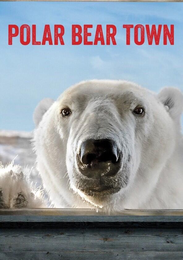 Polar Bear Town - Season 2 Polar Bear Town - Season 2