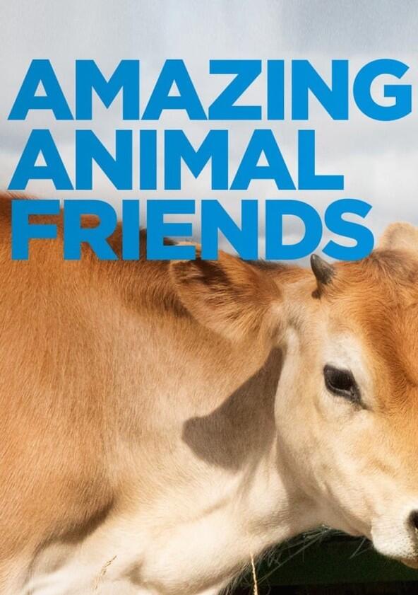 Amazing Animal Friends - Season 1
