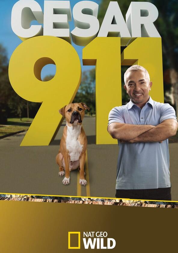 Cesar 911 - Season 1 Cesar 911 - Season 1