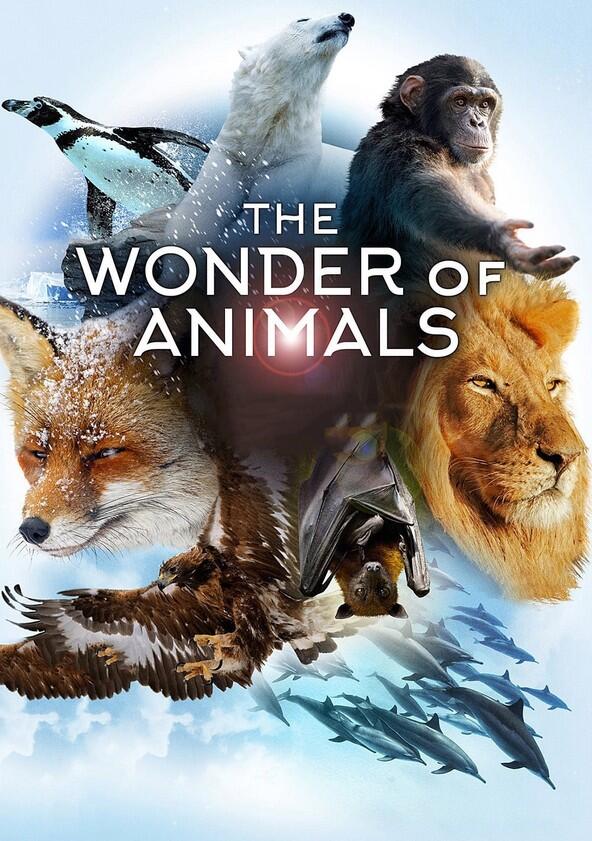 The Wonder of Animals - Season 1