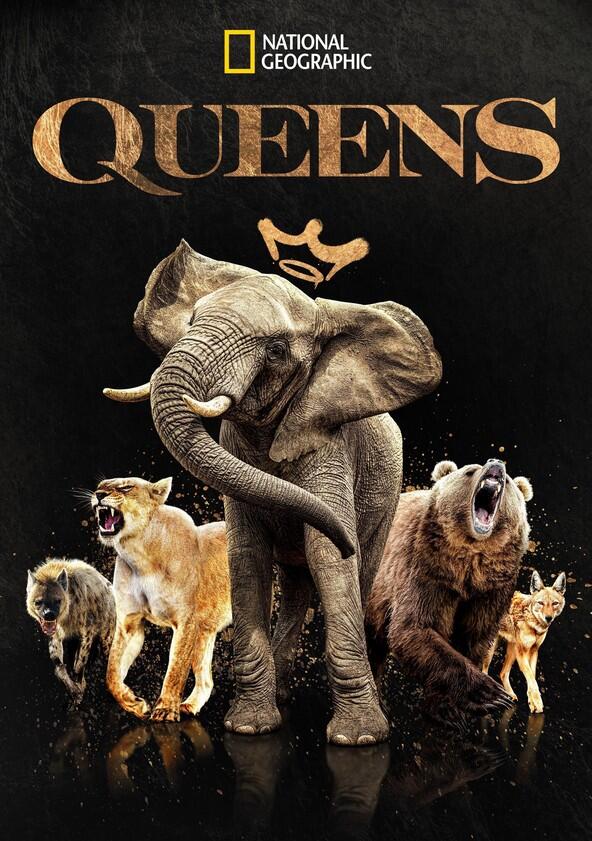 Queens - Season 1 Queens - Season 1