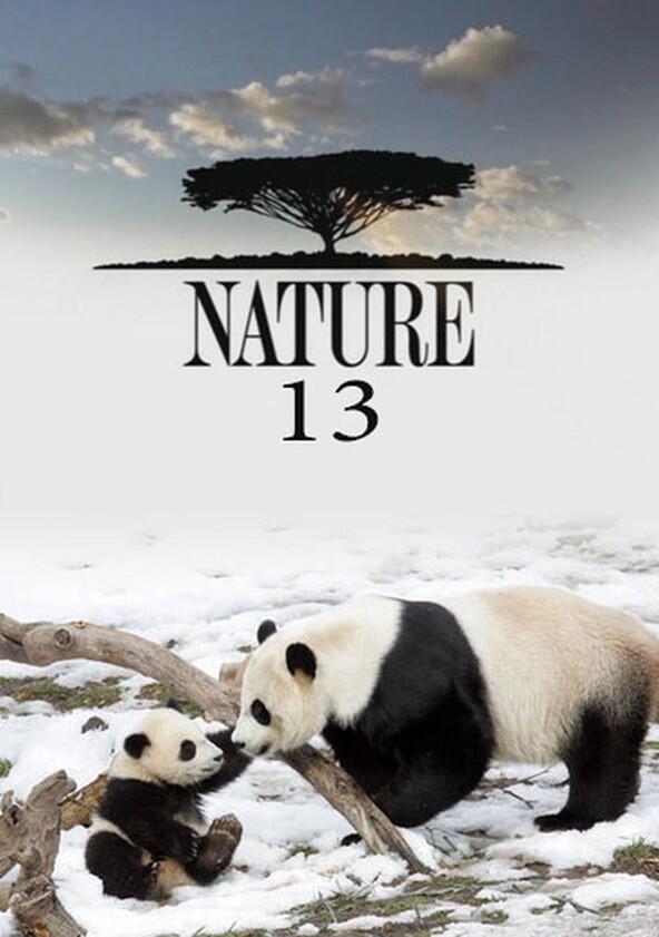 Nature - Season 13 Nature - Season 13