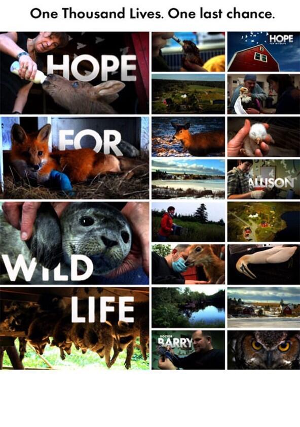 Hope for Wildlife - Season 8 Hope for Wildlife - Season 8