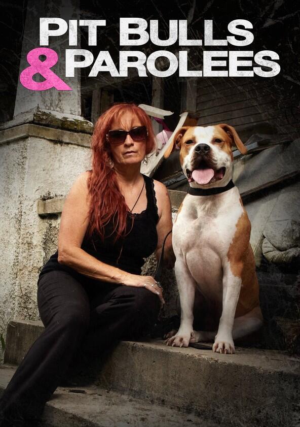 Pit Bulls & Parolees - Season 19
