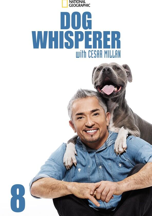 The Dog Whisperer - Season 8 The Dog Whisperer - Season 8