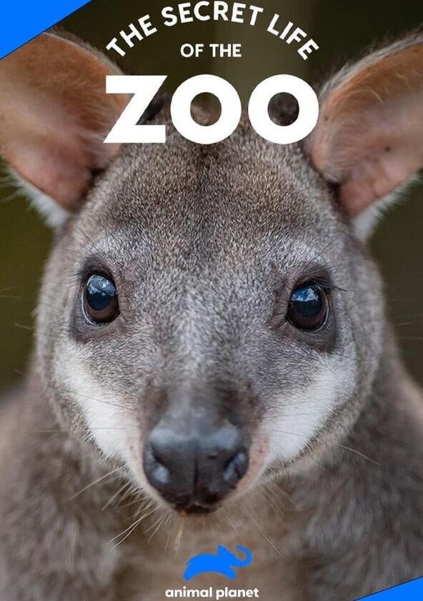 The Secret Life of the Zoo - Season 10 The Secret Life of the Zoo - Season 10