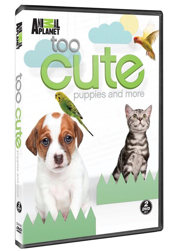 Too Cute! - Season 1 Too Cute! - Season 1